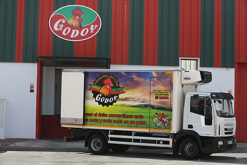 Distribucion camion 1