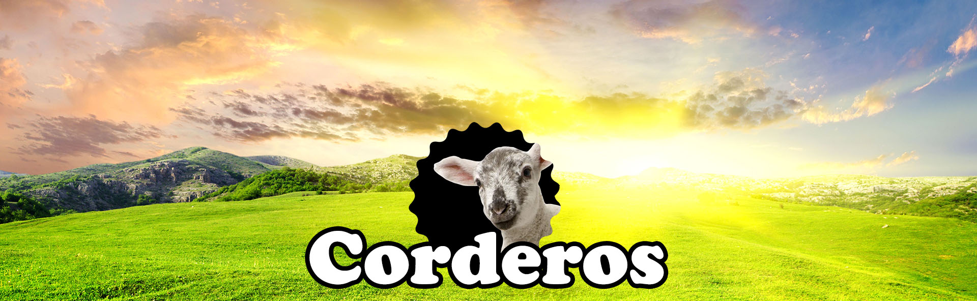 fondo corderos