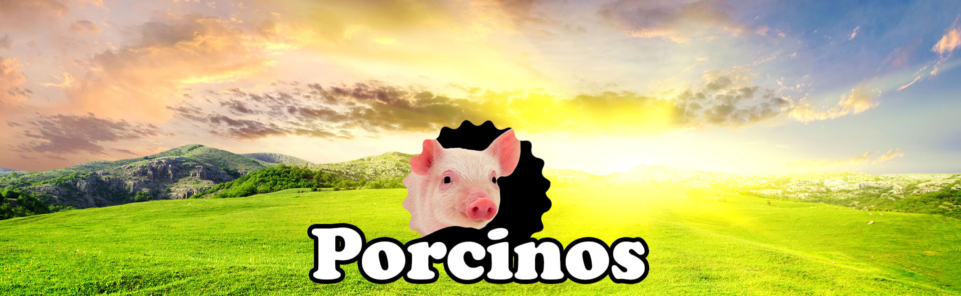 fondo porcinos