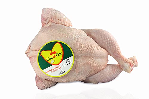 Pollo blanco europeo