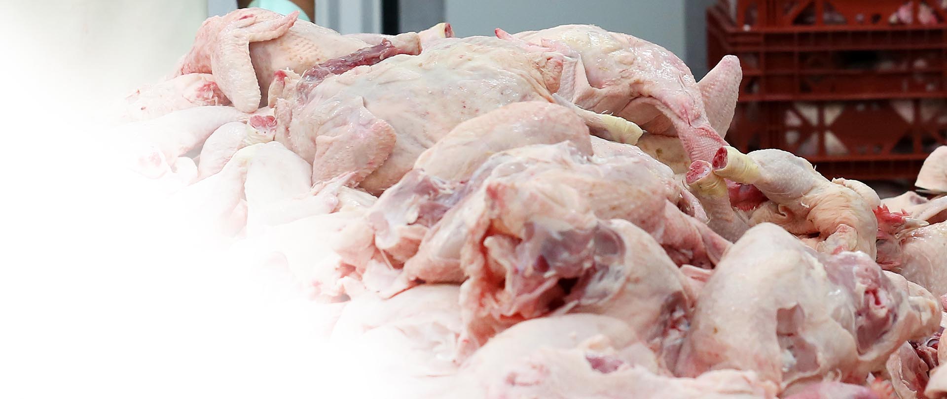 MATERIA PRIMA  de esmerada elaboración