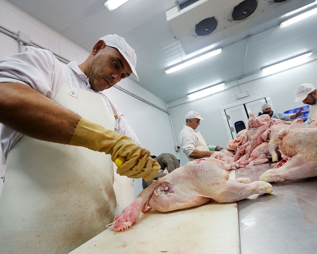 015 Godoy - Segovia Estudio