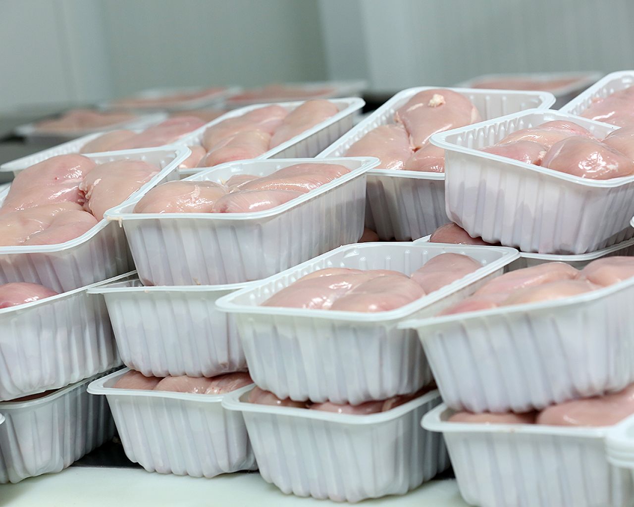 019 Godoy - Segovia Estudio