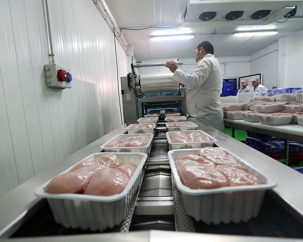 024 Godoy - Segovia Estudio