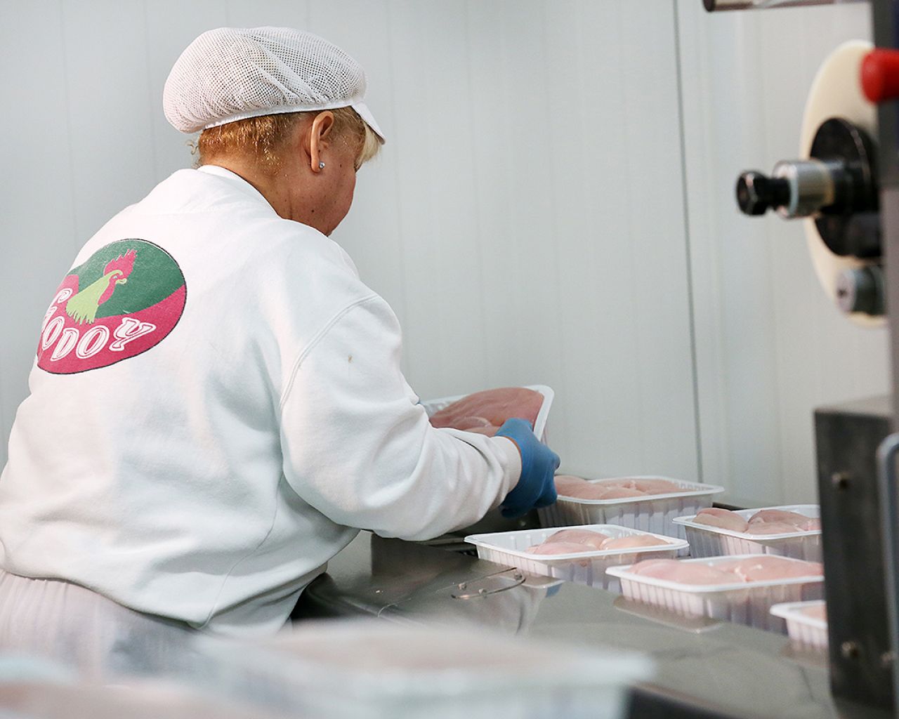 029 Godoy - Segovia Estudio