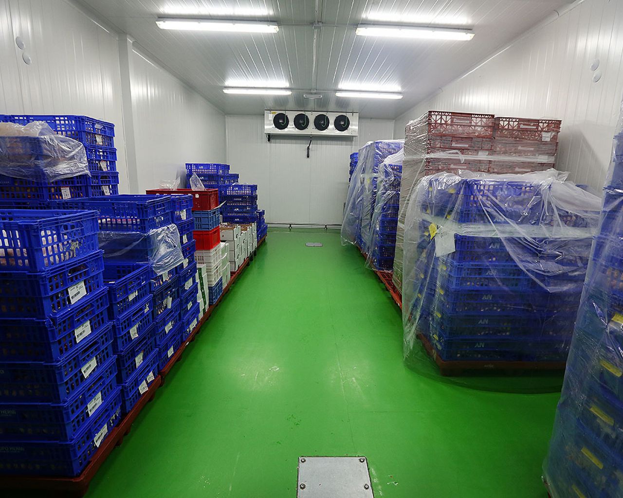 035 Godoy - Segovia Estudio