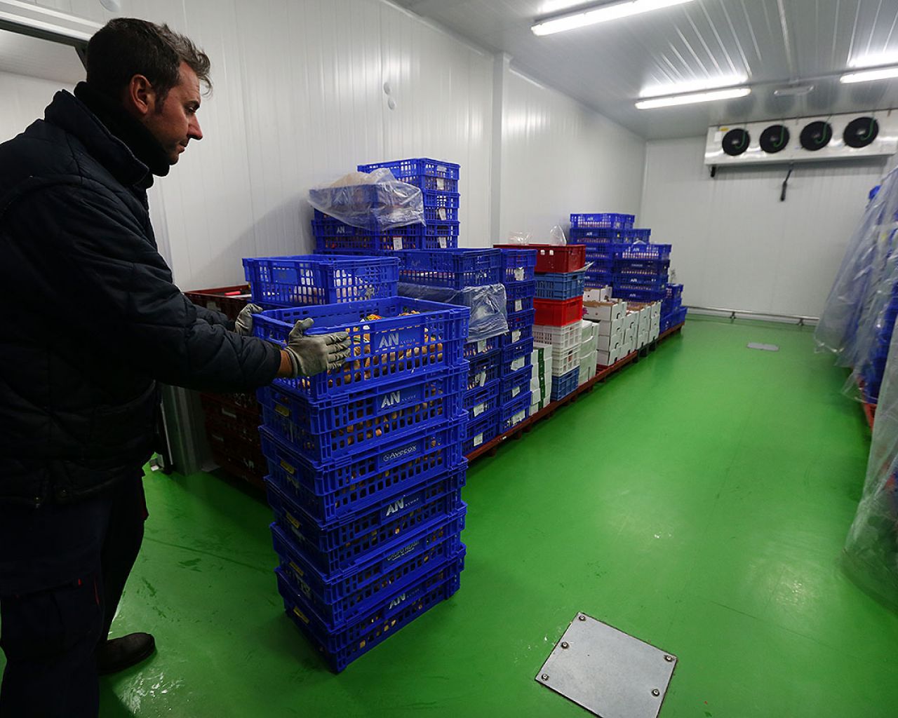 036 Godoy - Segovia Estudio