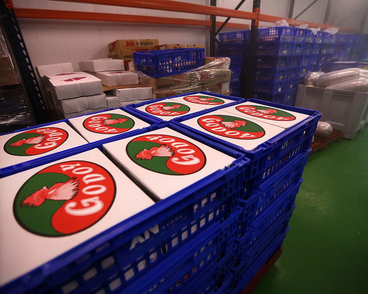 045 Godoy - Segovia Estudio