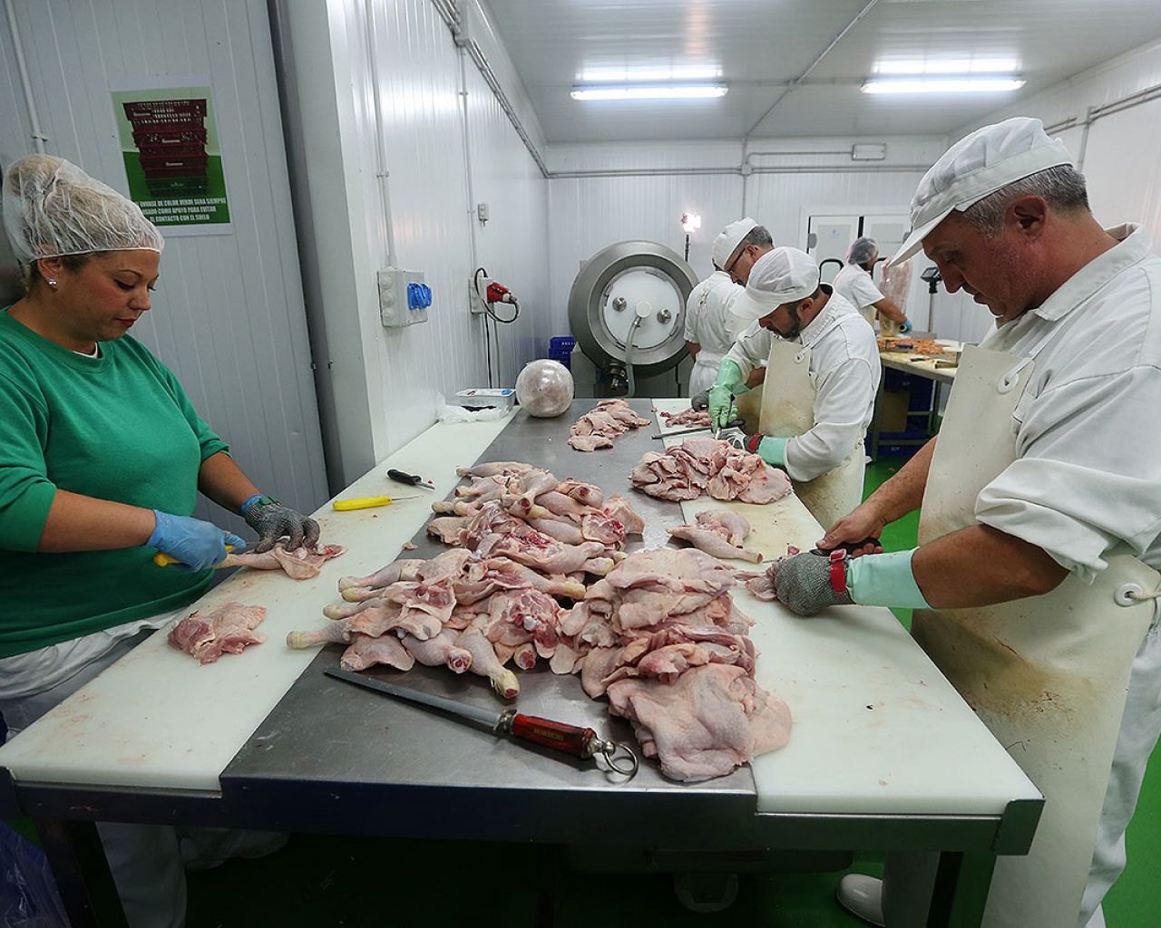 055 Godoy - Segovia Estudio